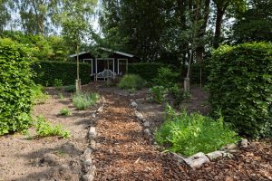 Wanneer professionaliteit afstand wordt